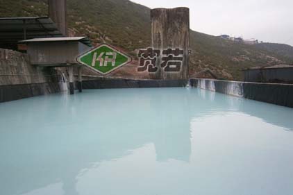 ˮطB