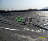 山東臺(tái)兒莊區(qū)垃圾處理場南坑防滲