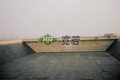 ˮطB